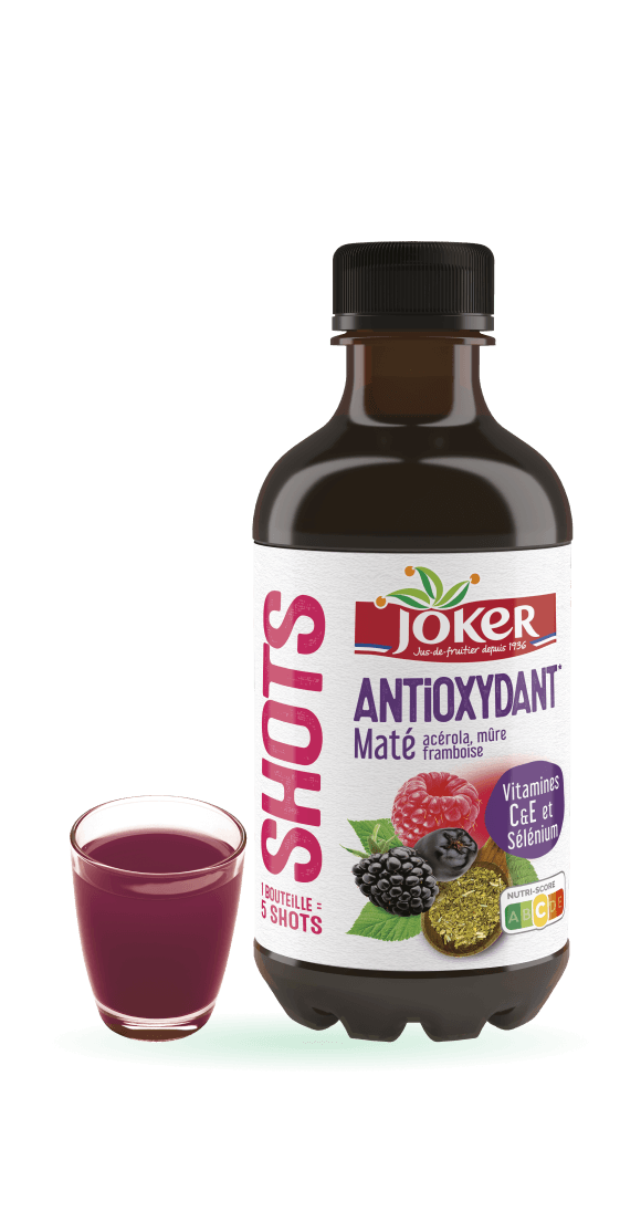SHOTS Antioxydant Maté 33cl